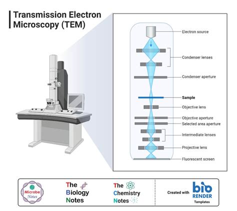 electron microscope parts|2.4: Electron Microscopy (EM) .